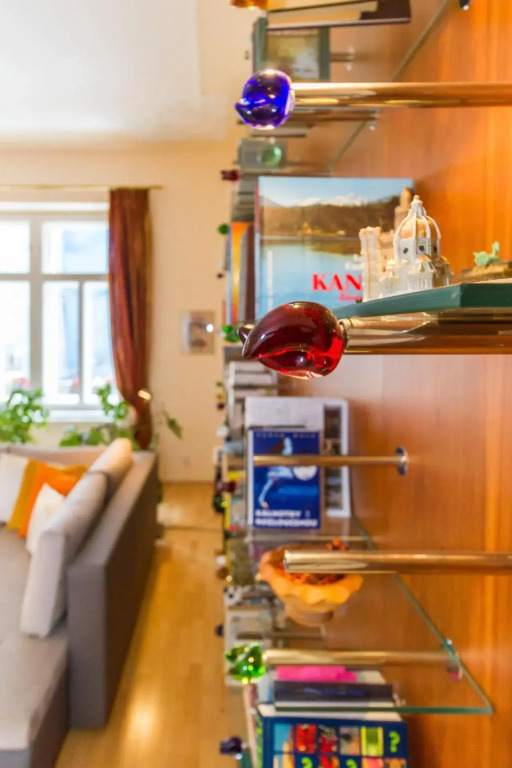 Apartment Victor