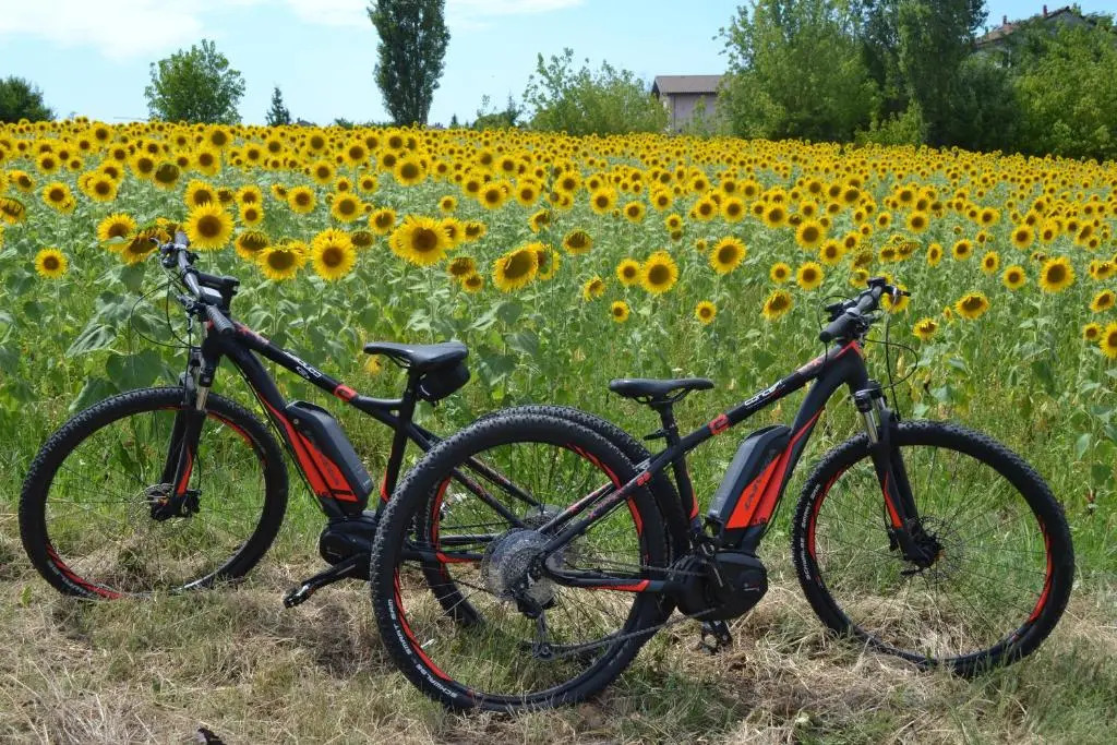 Cascina Trapella