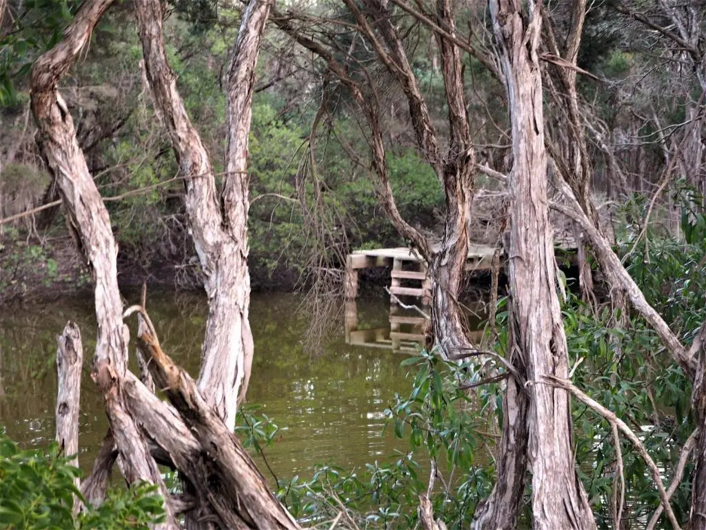 Banksia Park Estate
