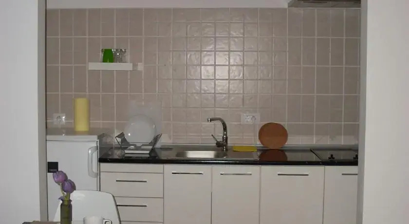Cristina Apartment - Calea Victoriei
