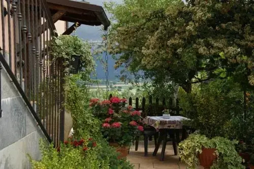 Agriturismo LUlivo in Fiore