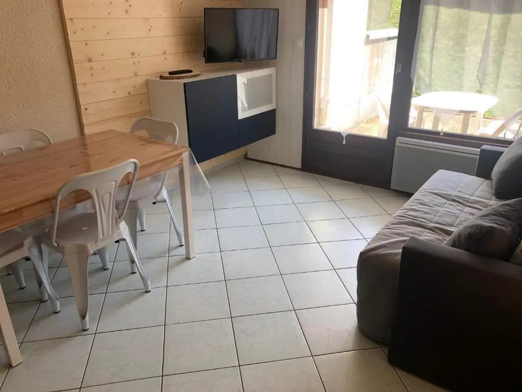 Appartement La Clusaz, 1 pièce, 4 personnes - FR-1-459-64