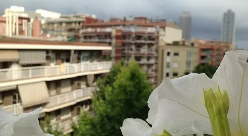 Freemove Sardenya