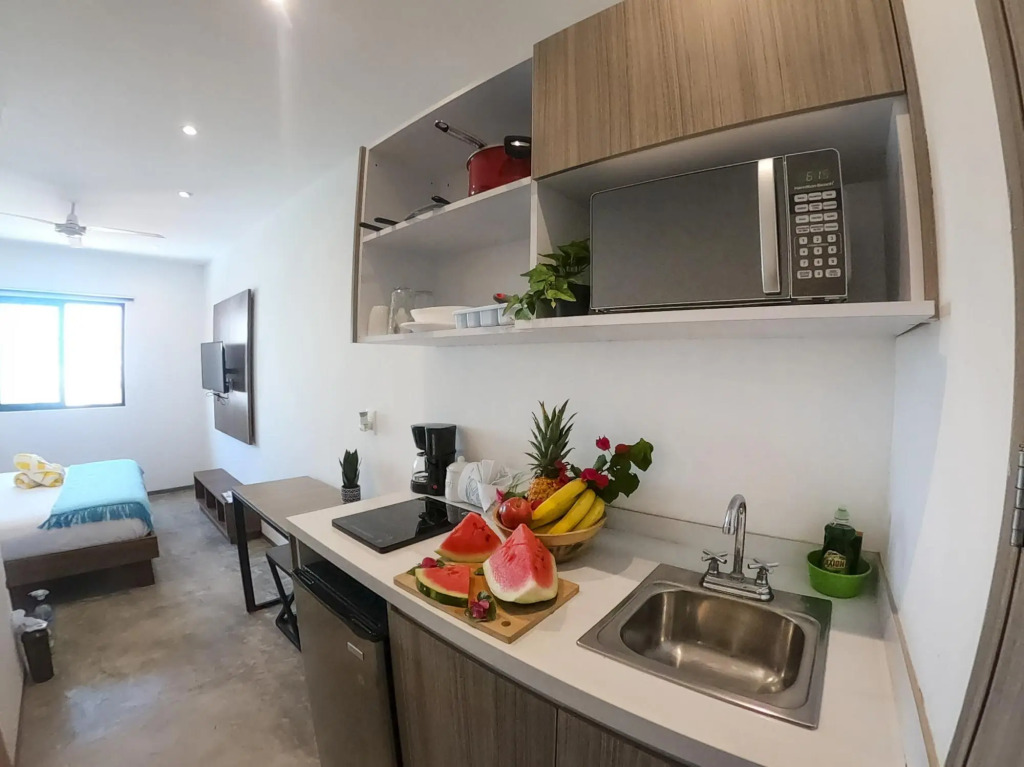 Queen Studio PDC Oasis Pool Rooftop Lounge Walk to 5 Avenida Best Playa Beaches