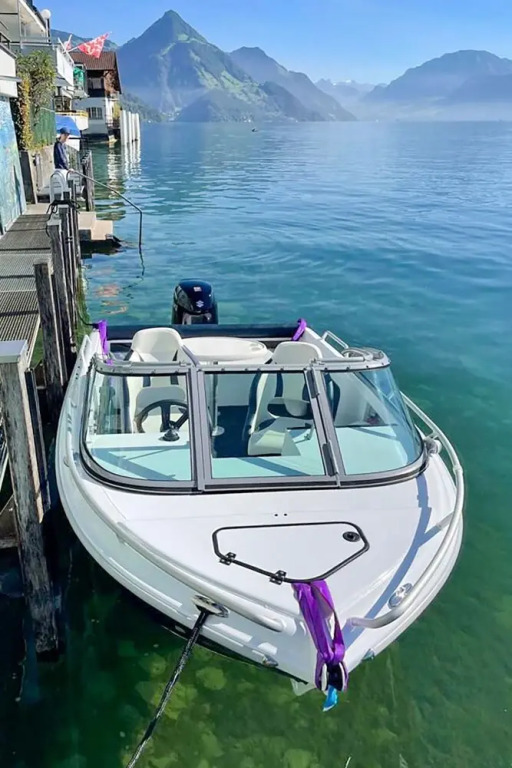 Seestern am See mit Motorboot Ennetb Rgen