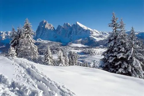 Alpin Sport