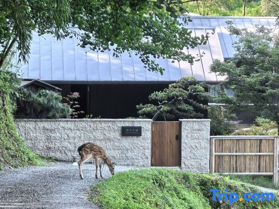Luzhiqingcheng Wenquan Homestay