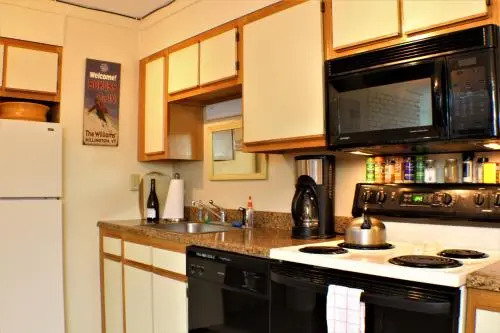 Ski home to this beautiful one bedroom condo with shuttle to Slopes Whiffletree E4