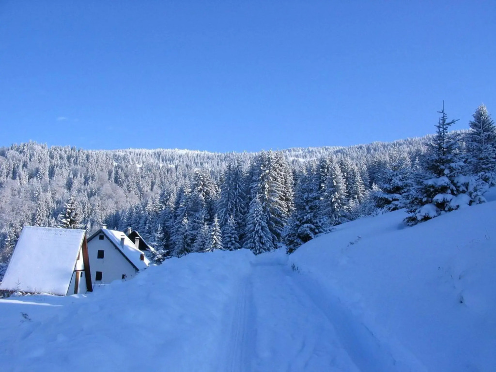 Villa Kostic Kopaonik