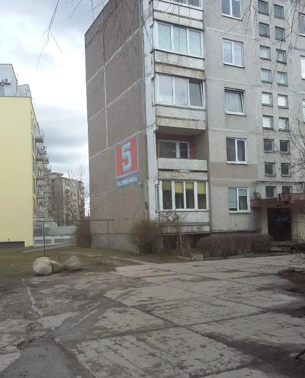 Dviejų kambarių butas