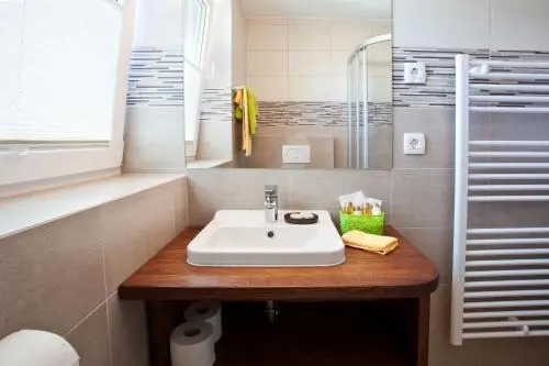 Apartment House Alp