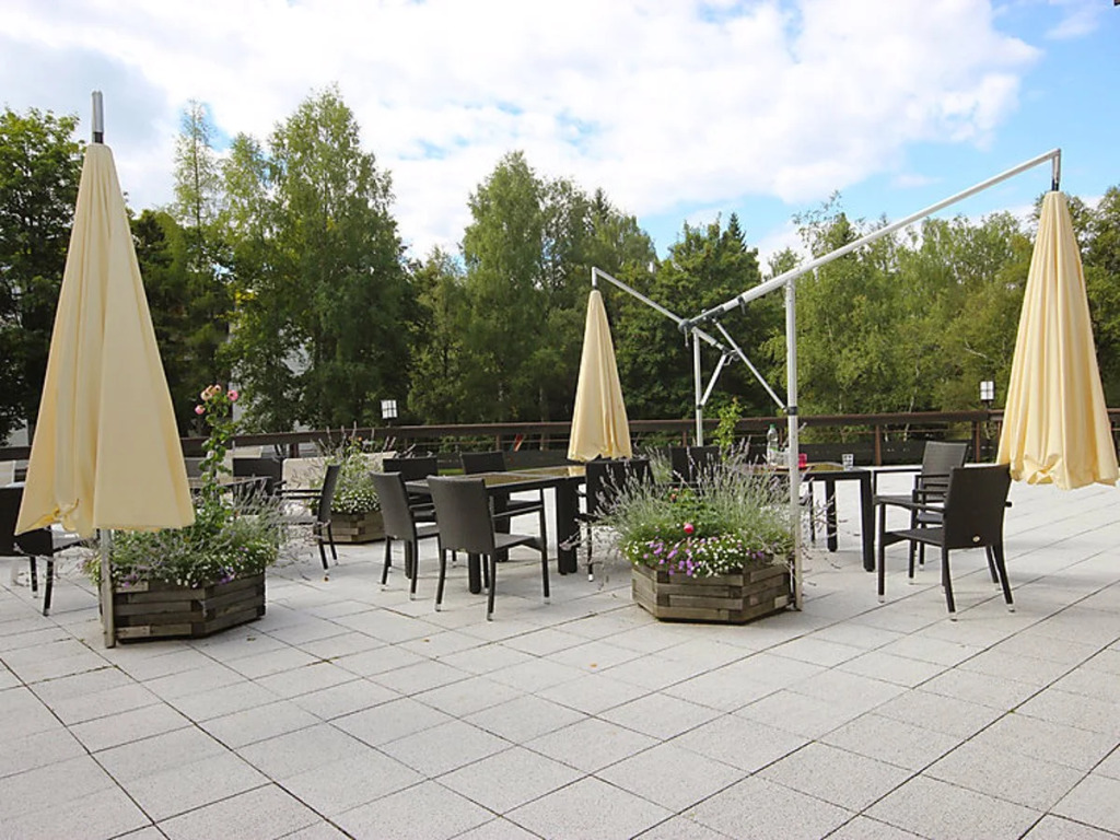 Birkenwald 14732