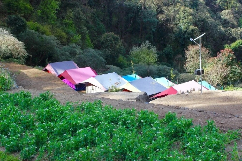 Camp Twilight