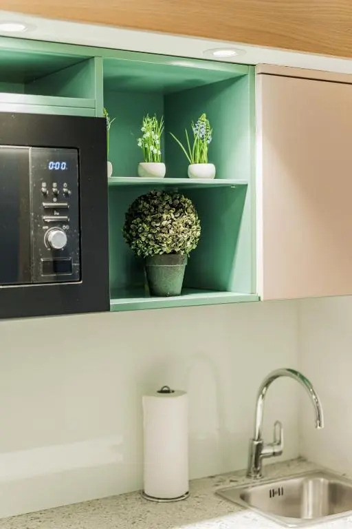 ZEUS Design Mini Apartment Erlach #10