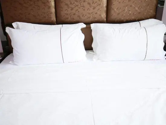 Puti Hongdu Hotel