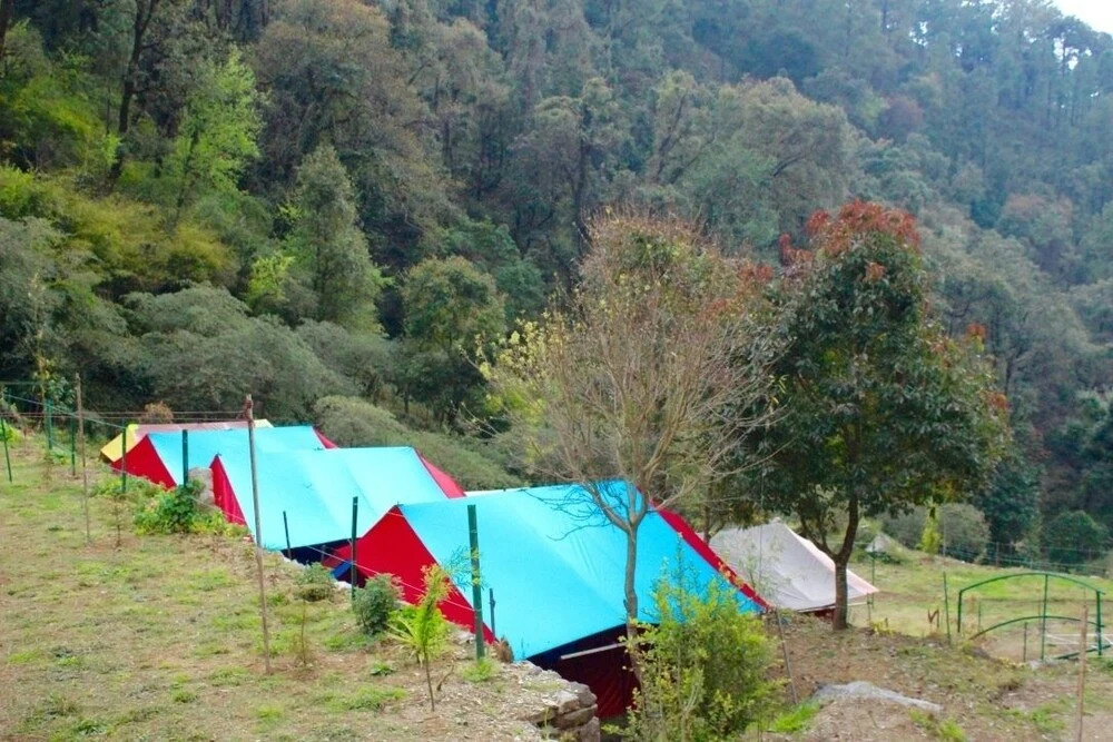 Camp Twilight