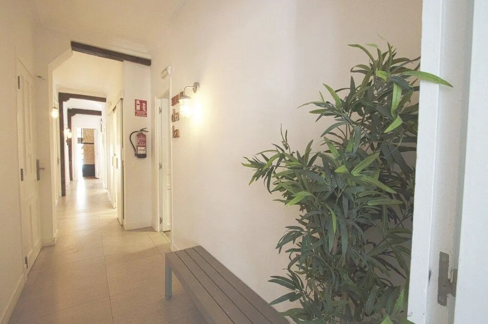 Surfing Etxea - Surf Hostel