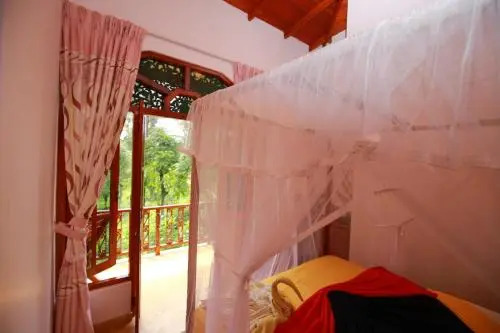Tea Forest Lodge