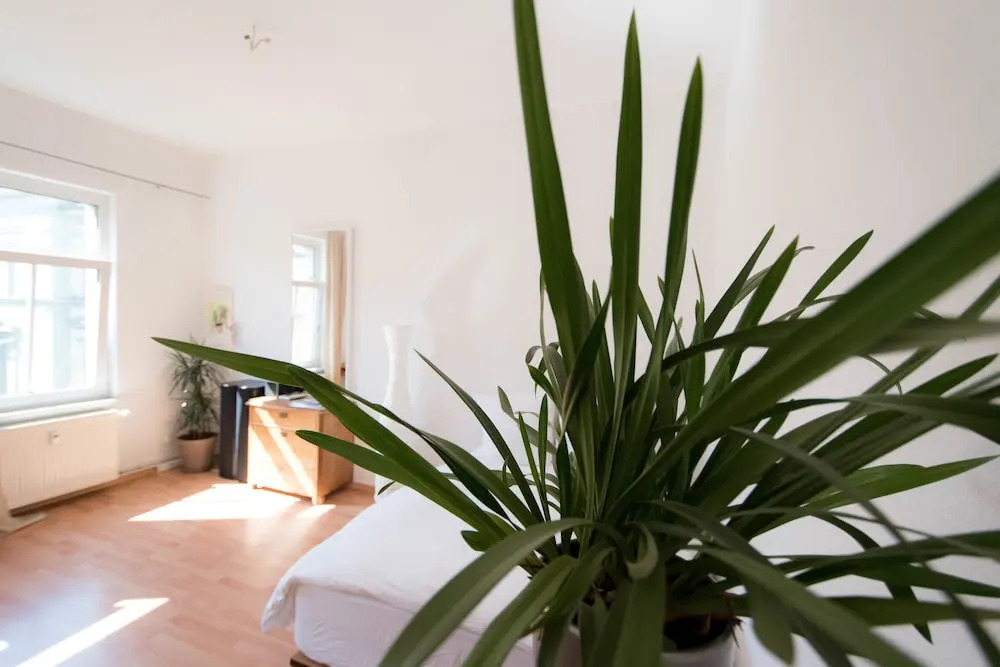 Wohnung Peter