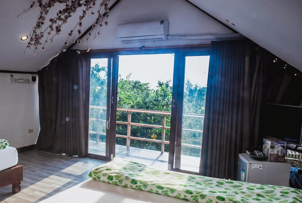 Sao Biển Cam Ranh - Starfish Cam Ranh