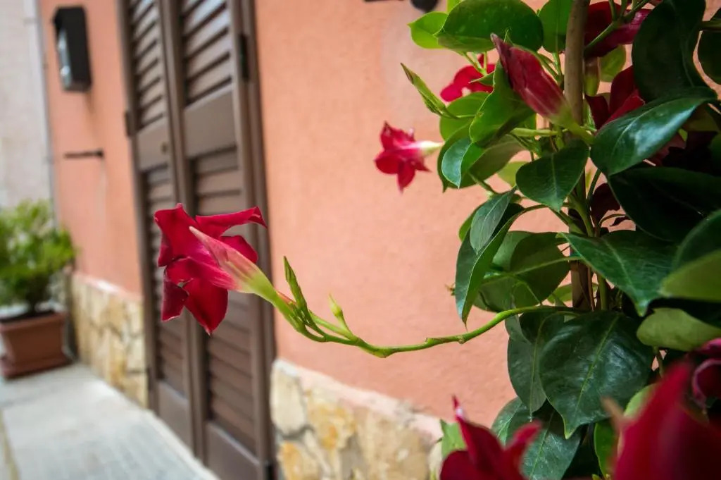 A Cumerdia - Casa Vacanze