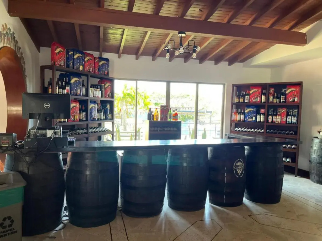 Hotel Los Viñedos