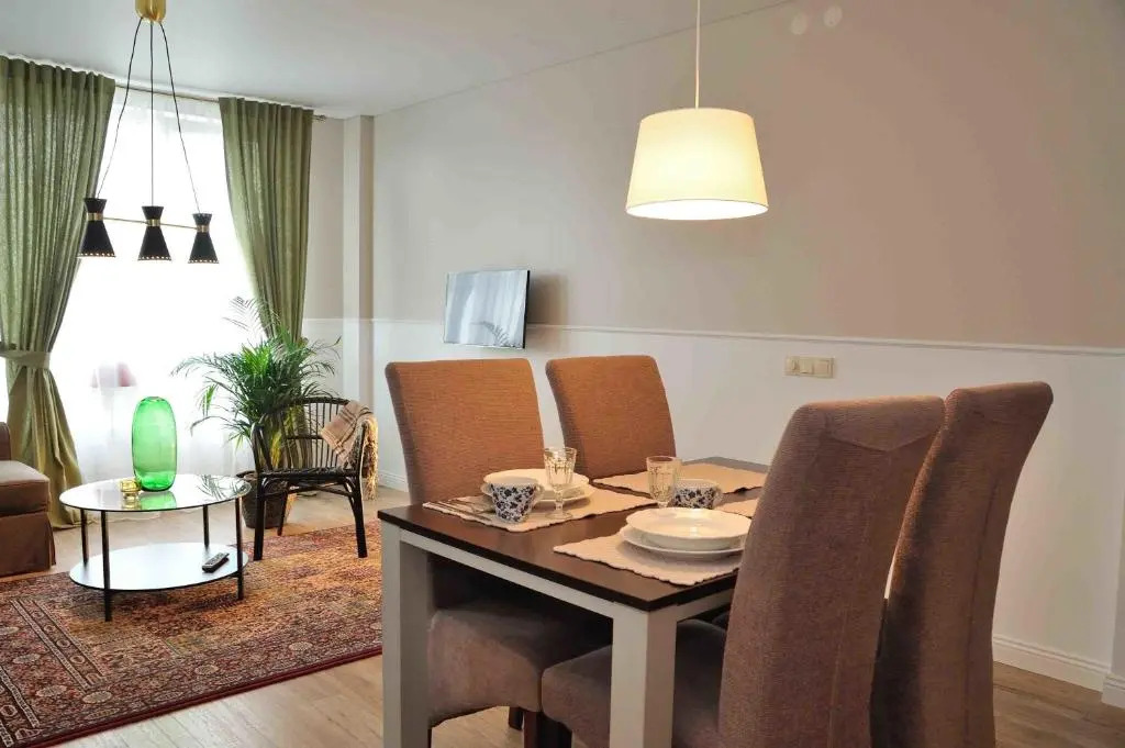 Dzuku apartment 11