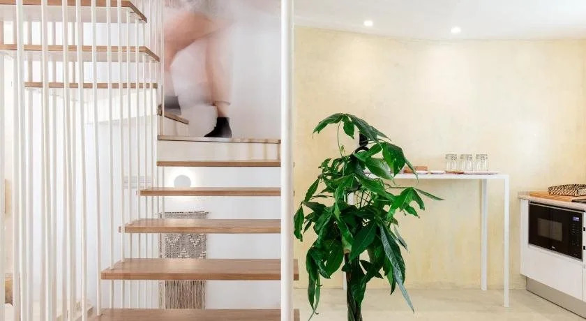 Dear Lisbon Living House