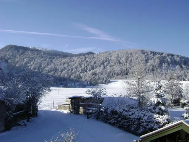 Haus Egger