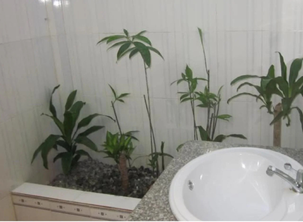 Sea Lavie Hostel