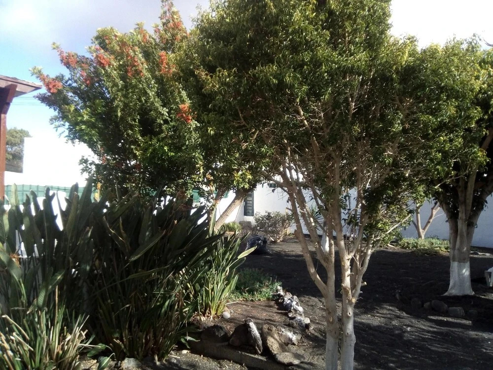House With 2 Bedrooms in Guatiza, With Furnished Terrace and Wifi - 5 km From the Beach