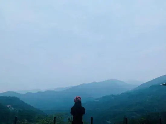 Qingsu Qingcheng private Tang forest