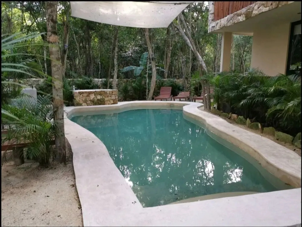 Jungle Penthouse