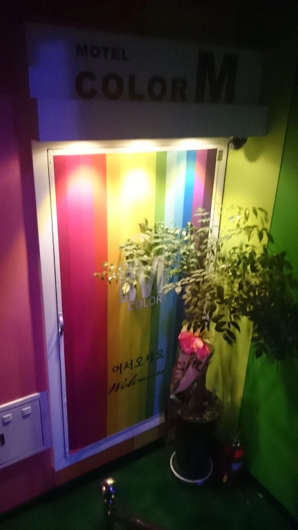 Color M motel