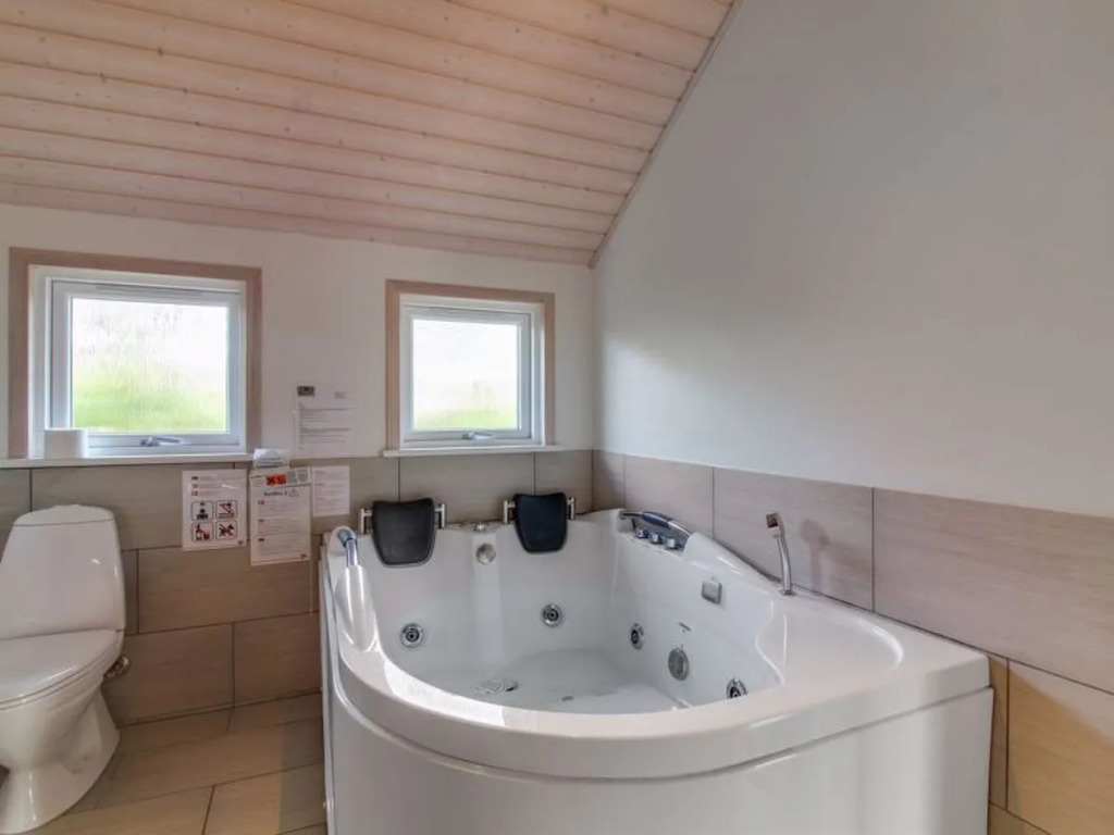 "Alyna" - 850m from the sea in NW Jutland