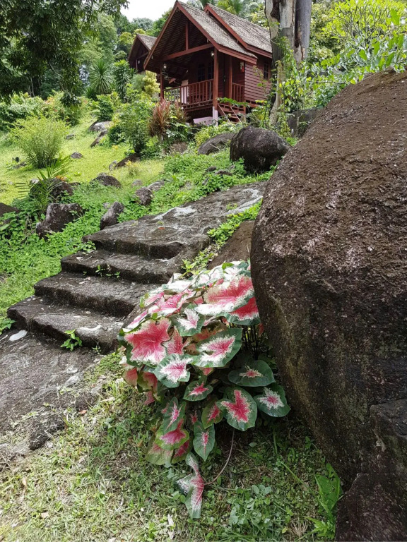 Phanom Bencha Mountain Resort