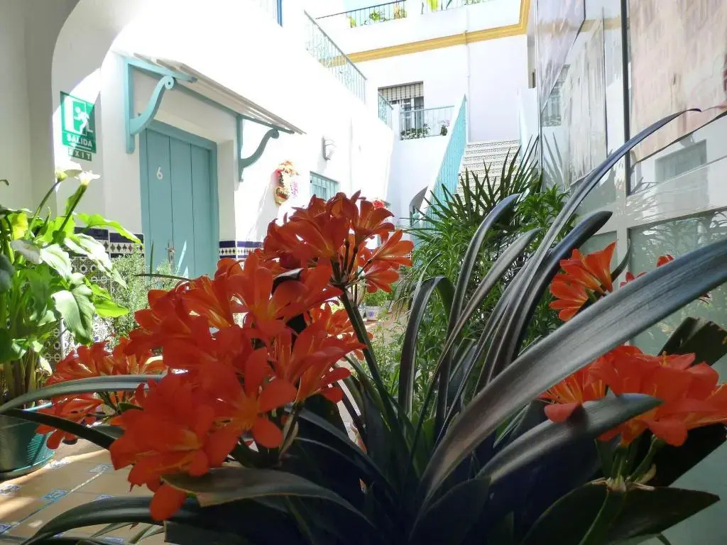 Hostal Campo Nuevo