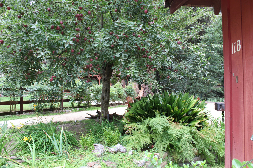 Fern River Resort