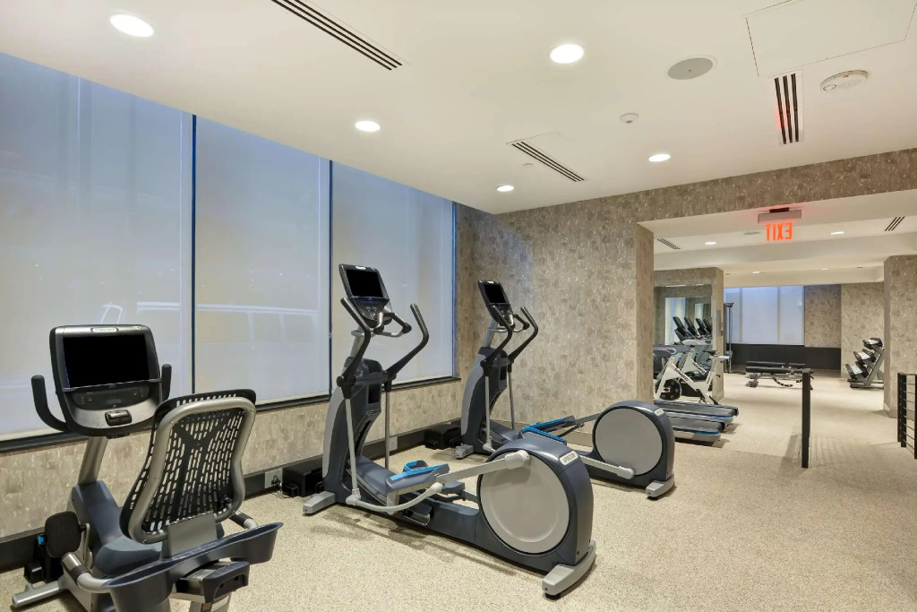The Cincinnatian Curio Collection by Hilton
