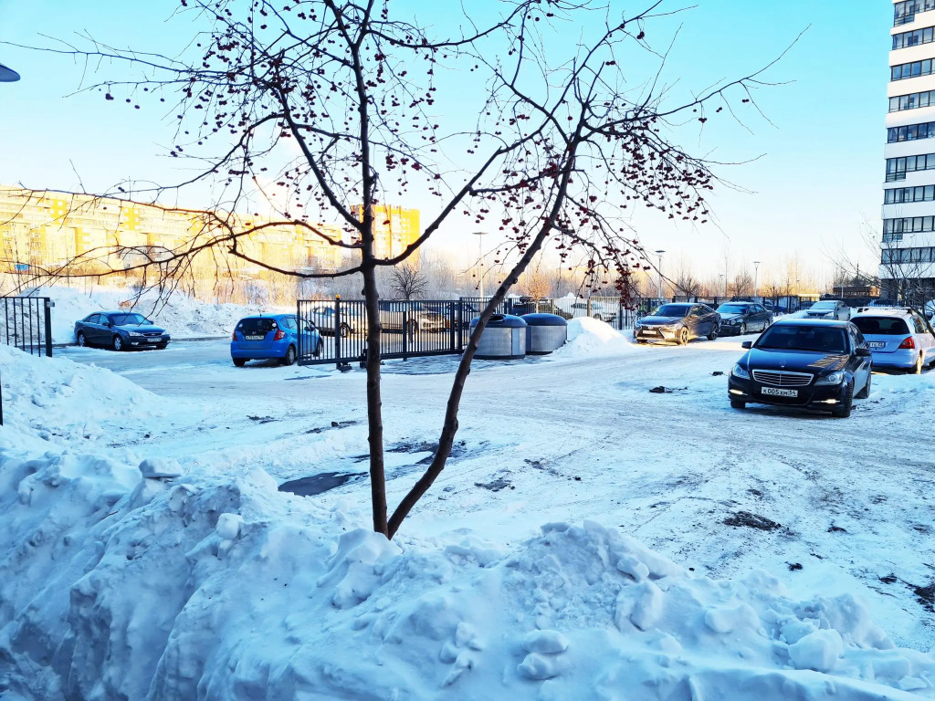 Apartaments Novosibirska, st. Bolshevistskaya, 100, 16 Floor