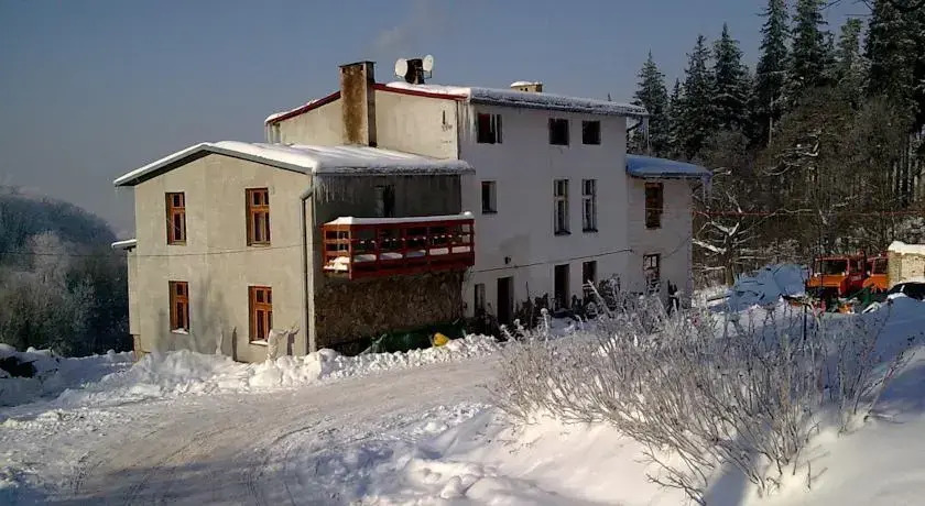 Agroturystyka " Żabi Dołek "