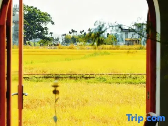 Ten Gardens, Nine Views | 360° Vitas Xizhou Dual-View Designer Lodge (Erhai Ecocorridor)