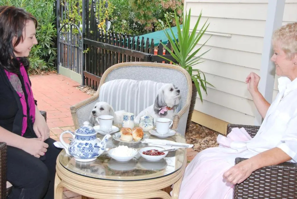 Must Love Dogs B&B & Self Contained Cottage