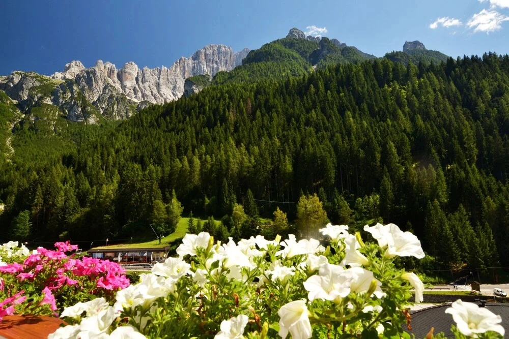Hotel Coldai