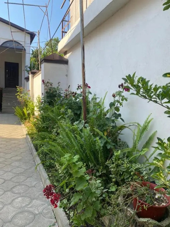 Nartaa house 2