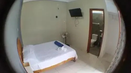 Casa Hospedaje Terra Selva