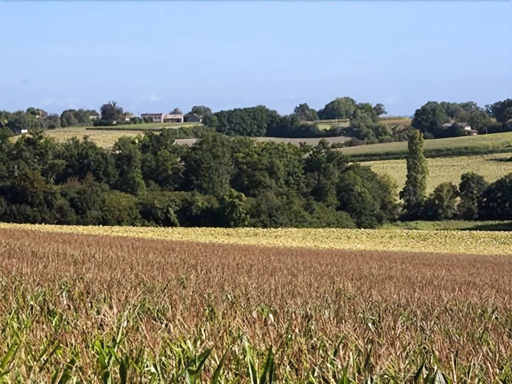 Bellevues Glamping and Camping