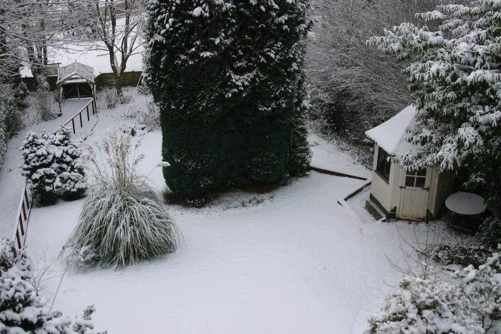 Springhill B&B