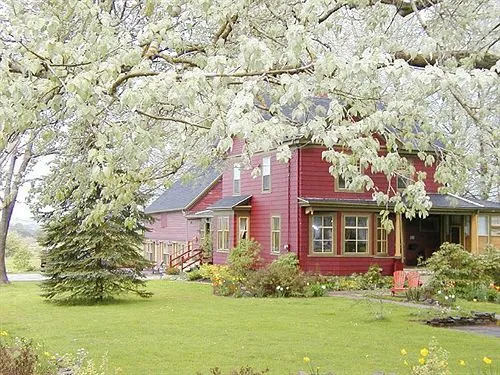 Dragonfly Inn
