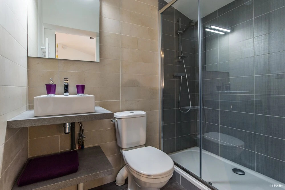 Appartement Toulouse Centre